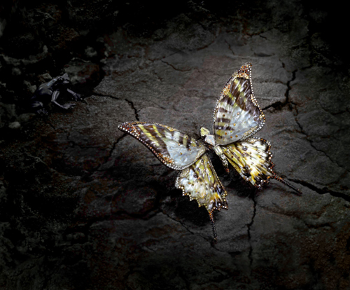 首博首次寶石雕刻珍品展29日開展