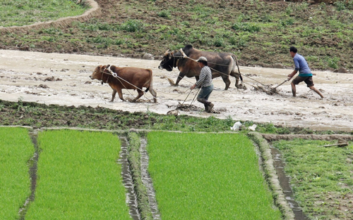 旱區(qū)處處忙春耕
