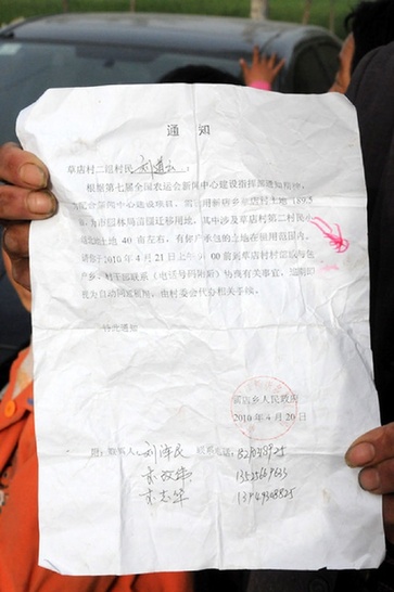 河南南陽發生“毀麥種樹”事件 上百畝小麥被鏟