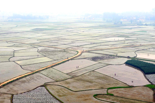 廣西春耕生產加快推進