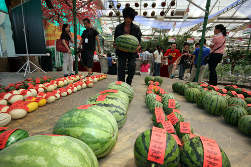 第22屆“興農(nóng)杯”全國西甜瓜擂臺賽揭曉