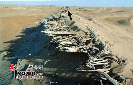 羅布泊現神秘新古城 遺址規模僅次于樓蘭