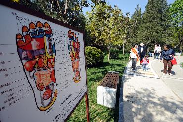 衛生部:非醫療機構從事養生保健將規范