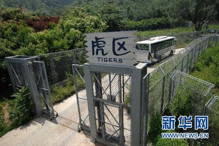 西安動(dòng)物園老虎咬死游客事件猛獸區(qū)管理員被批捕(圖)