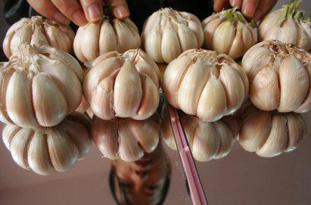 大蒜價格再次漲至5月高位的背后