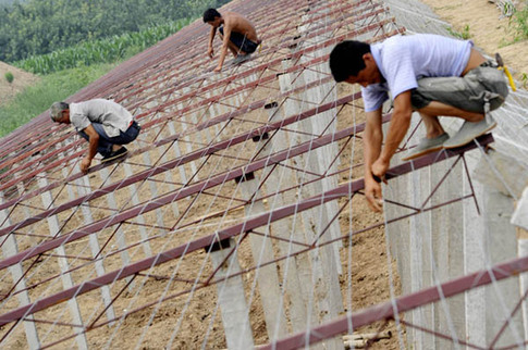 山西啟動百萬畝設施蔬菜計劃