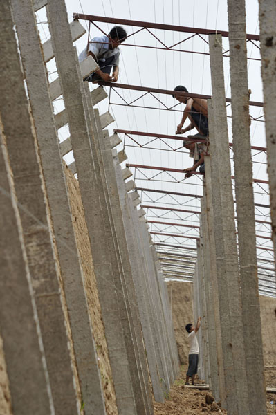 山西啟動百萬畝設施蔬菜計劃