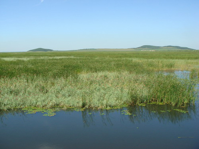 第四屆網媒龍江行：富錦的濕地文化