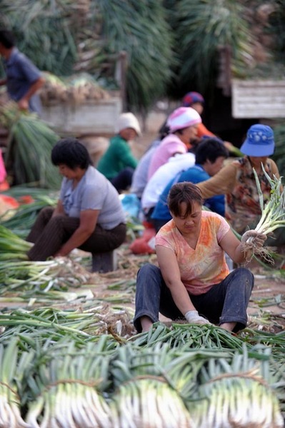 山西：降雨導致菜價上揚
