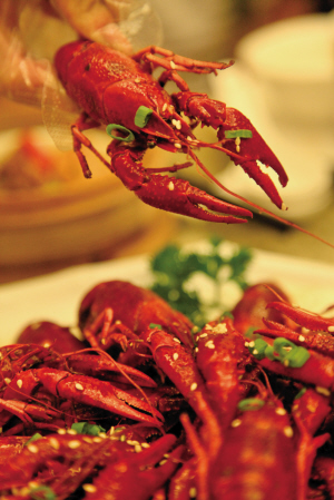 南京通報小龍蝦致病事件調查結果 初步確定為哈夫病