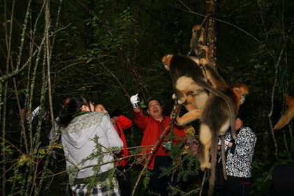 神農(nóng)架喜迎十一黃金周高峰客流