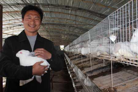 山東高青農(nóng)民養(yǎng)“玉兔” 發(fā)財(cái)