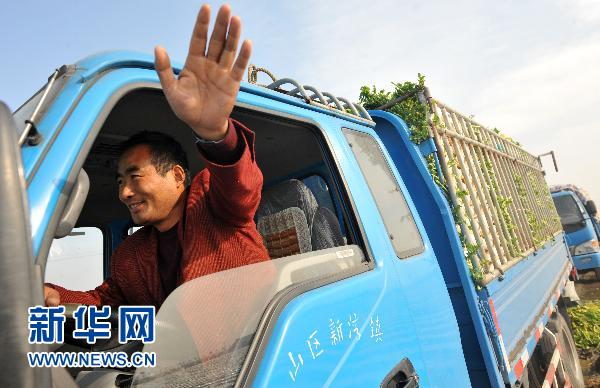 蘿卜的“漲價路”