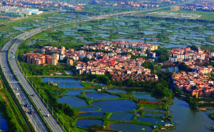 佛山南莊鎮：“反面教材”轉“正”記