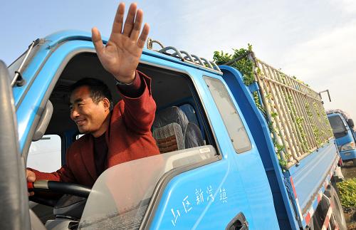 菜價究竟?jié)q在哪里？