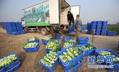 農副產品漲價態勢初步遏制 穩物價仍面臨三大難題