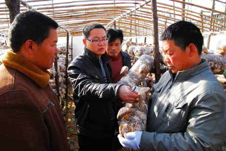 河南潢川：大學生村官創(chuàng)業(yè)基層助農富