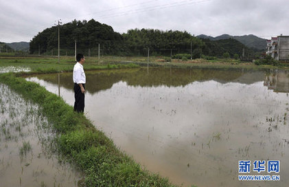 長江中下游“旱澇急轉” 專家解讀極端天氣現象