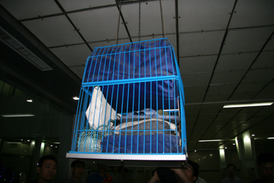 中國媒體看山東 走進唐口煤礦（圖）