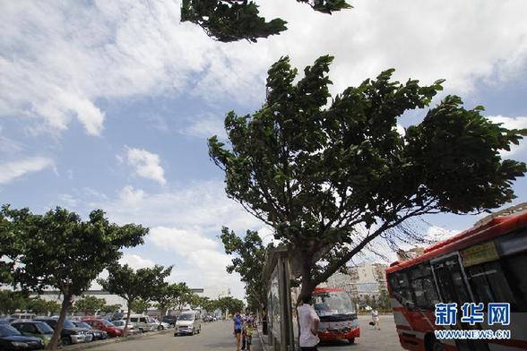 “南瑪都”將在晉江一帶登陸 防臺風Ⅱ級響應啟動