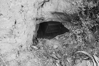 古皇族陵變成現(xiàn)代百姓冢——洛陽盜墓亂象再調查