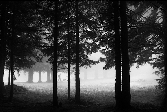 一起來看看世界各地的早晨