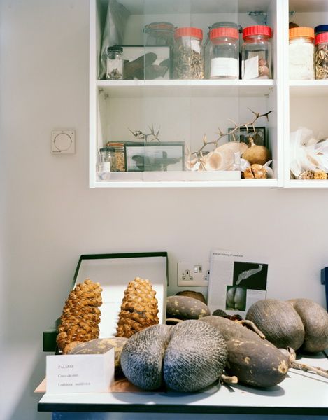 深入神秘的世界末日種子庫