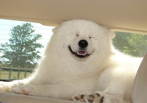 好歡樂！張張有亮點