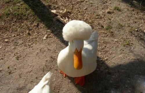 好歡樂！張張有亮點