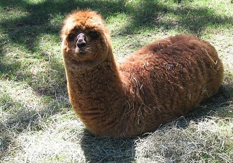 好歡樂！張張有亮點(diǎn)