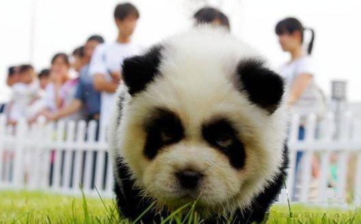 好歡樂(lè)！張張有亮點(diǎn)