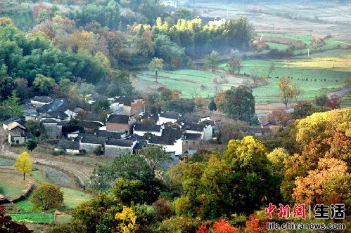 盤點(diǎn)國內(nèi)十大“秋色”