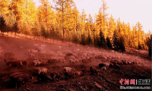 盤(pán)點(diǎn)國(guó)內(nèi)十大“秋色”