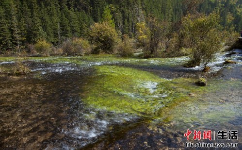 盤點(diǎn)國內(nèi)十大“秋色”