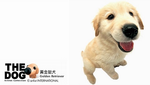 動物小了才可愛！超級萌的小動物