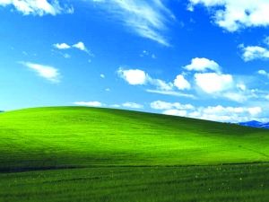 揭秘XP默認桌面：來自國家地理 身價世界第二