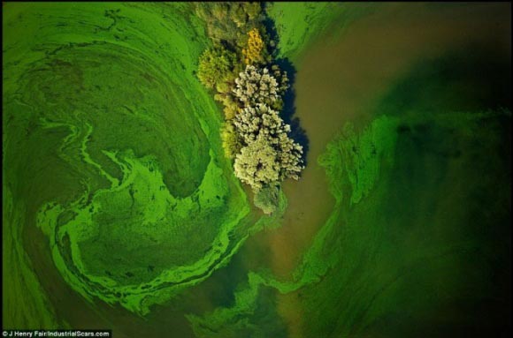 這是地球傷痕 不是玩藝術(shù)