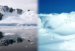 南極與北極十大差異：企鵝北極熊分居兩極