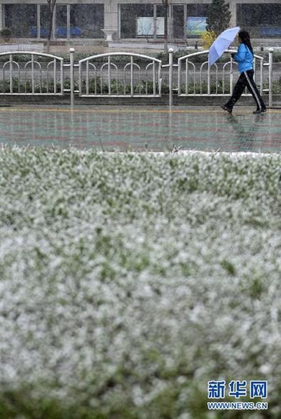 “雨雪風沙齊至”：最近天氣有點亂 出門請注意