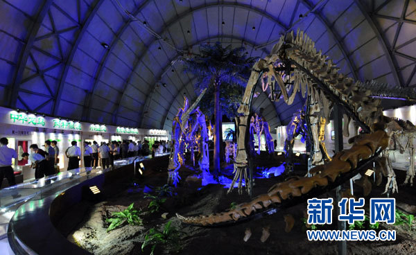 遼寧恐龍特展：共8個屬種的大型恐龍化石