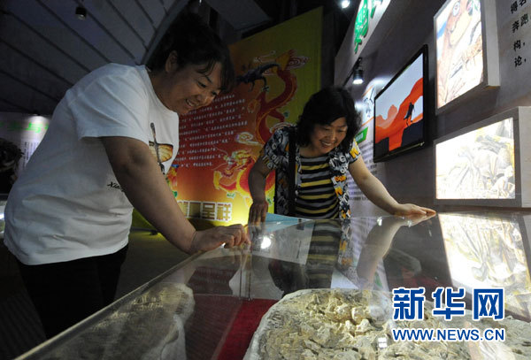 遼寧恐龍特展：共8個屬種的大型恐龍化石