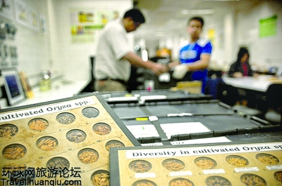 揭秘“末日種子庫”:能抵抗任何災難的地方