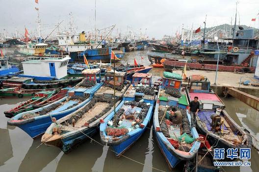 我國東海區5萬多艘漁船今日起全面休漁