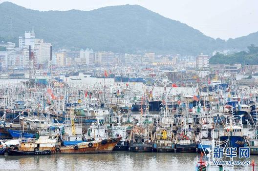 我國東海區5萬多艘漁船今日起全面休漁
