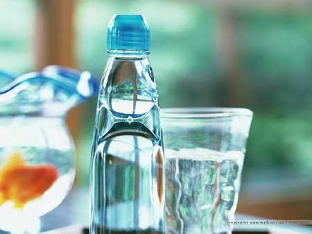 吃土豆不會發胖 擊破19個最“坑爹”的飲食謠言