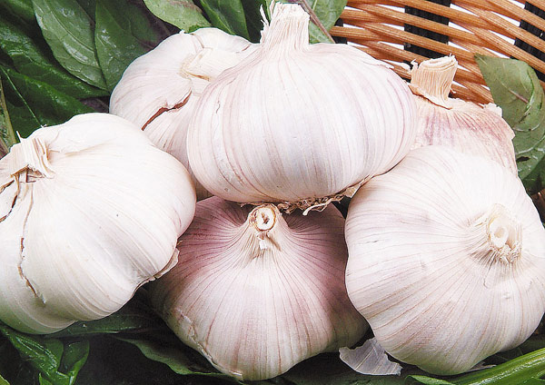 細(xì)數(shù)8種最有益的“難吃”食物