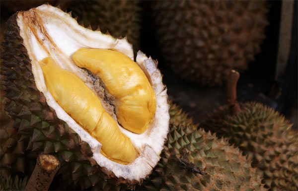 細(xì)數(shù)8種最有益的“難吃”食物