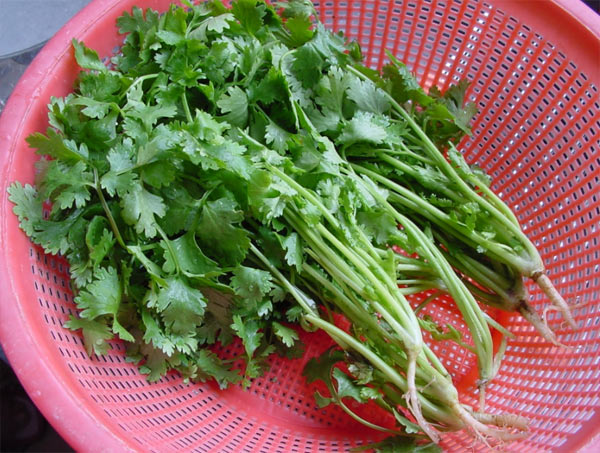 細數8種最有益的“難吃”食物