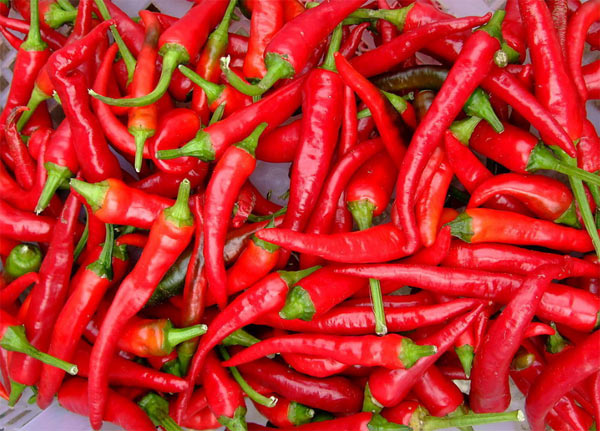 細數8種最有益的“難吃”食物