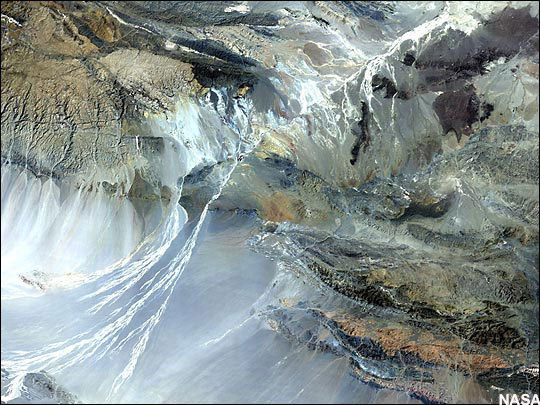 恐龍嬰兒震驚世界！盤點史上獨特的恐龍化石